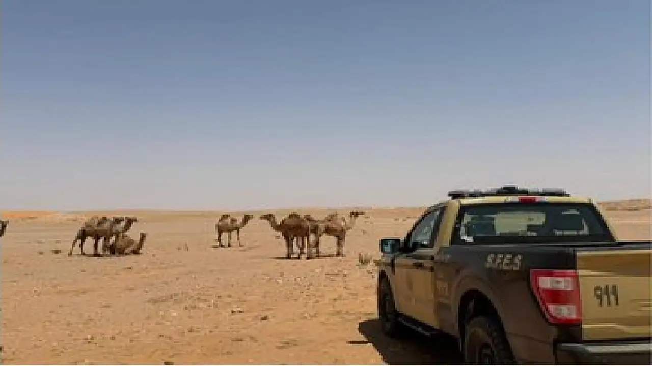 ضبط مواطن خالف أنظمة الرعي بمحمية الملك عبدالعزيز وهذه هي عقوبته المنتظرة